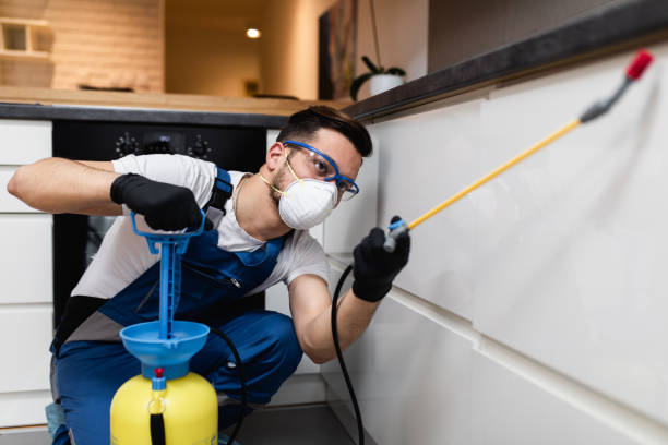 Best Best Pest Control Companies  in Choteau, MT